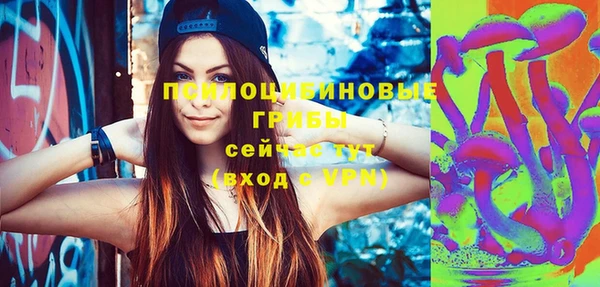 сатива Алексин