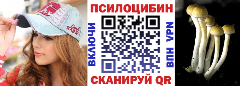 Псилоцибиновые грибы Psilocybe  Вилючинск 